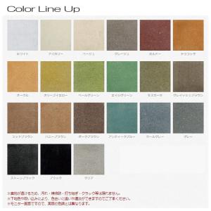 アクアカラー カラーピグメント 235g アッ...の詳細画像1