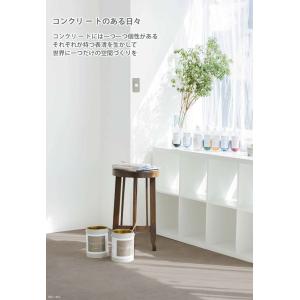 アクアカラー カラーピグメント 235g アッ...の詳細画像3