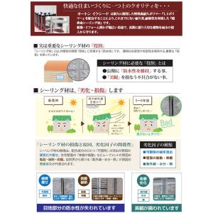 オートンイクシード 320mlカートリッジ×1...の詳細画像2