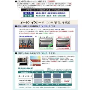 オートンイクシード 320mlカートリッジ×1...の詳細画像3