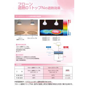フローン01トップN グレー 3kg フローン...の詳細画像3