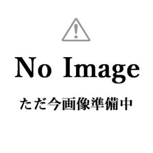 IPスーパーフロア ハードタイプ　各色　艶有り　3.5kg(約10平米/1回塗り)　塩ビシート 塩ビ...