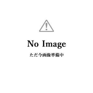 JR-70P10M1 目地棒 10mm幅×1m×2mm厚 200本セット アイカ JR-70P10M1 目地棒 10mm幅×1m×2mm厚 200本セット アイカ