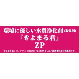 きよまる君 ZP 20kg 水性塗料排水処理剤...の詳細画像1