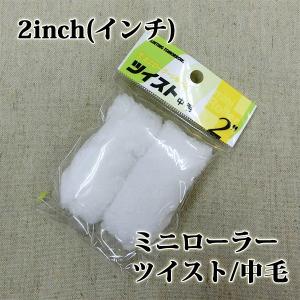オートンイクシード 6L×2缶セット(刷毛プライマー付き) 高耐候/高耐久
