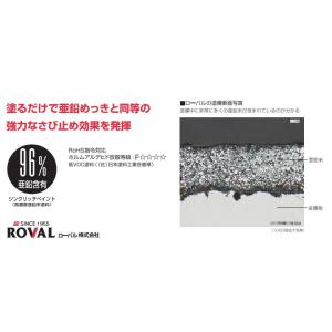 ROVAL ローバルスプレー グレー 300m...の詳細画像2