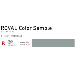 ROVAL ローバルスプレー グレー 300m...の詳細画像4