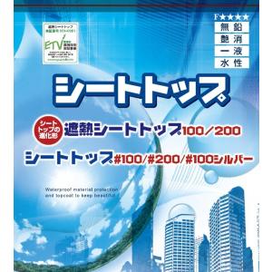 シートトップ#100 シルバー 15kg 約5...の詳細画像1