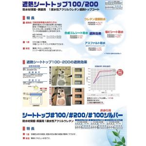 シートトップ#100 シルバー 15kg 約5...の詳細画像2