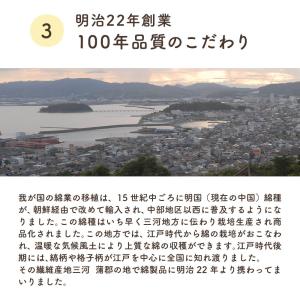 座布団カバー 八端判(59×63)大判 無地か...の詳細画像5