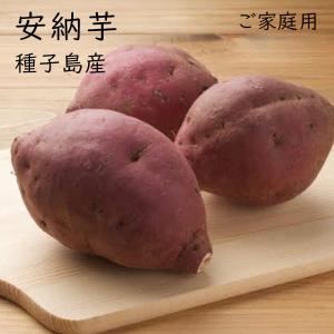 （ご家庭用）安納芋４kg種子島産　家庭用　 訳あり
