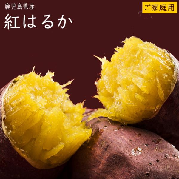 ＼1000円ぽっきりセール！／紅はるか1.5kg 訳あり　お試し ご家庭用 さつまいも 鹿児島県産