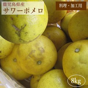 （加工・お料理用）サワーポメロ8kg （訳あり おつとめ品）（雪やけ） 極小玉や大きな傷ありのもの・柔らかいものも入ります※返品・交換不可【 2月下旬〜発送】