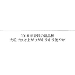 米 10kg お米 新米 令和7年 にじのきら...の詳細画像5