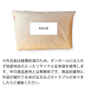 米 5kg お米 新米 令和7年 にじのきらめ...の詳細画像3
