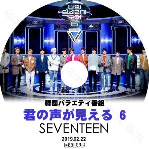 SEVENTEEN 2016 韓国 ライブ DVD セブチ 2016 'LIKE SEVENTEEN -Shining Diamond CONCERT' DVD