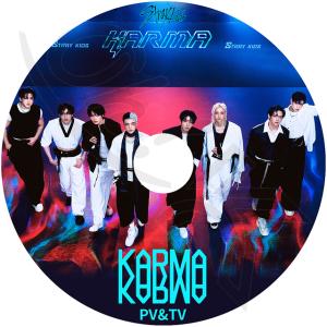 K-POP DVD STRAY KIDS 202...の商品画像