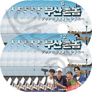 K-POP DVD プサンの田舎者 in シドニ...の商品画像