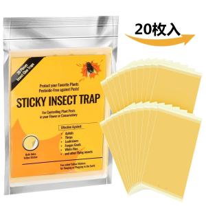 害虫捕獲粘着紙 粘着トラップ 捕虫シート ハエ取り