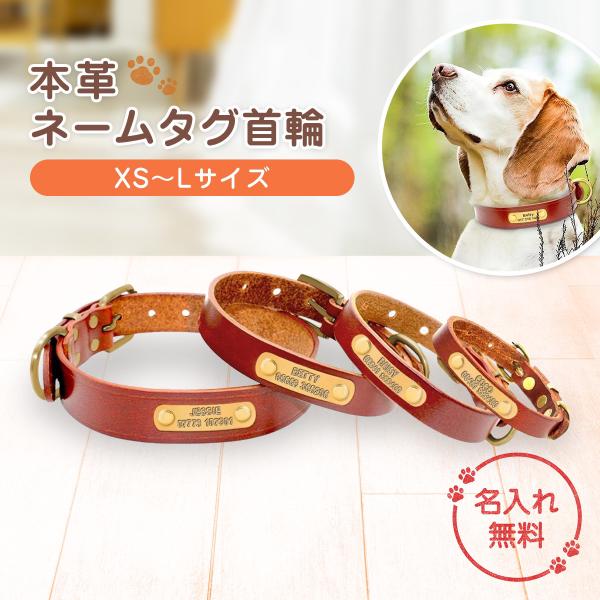 首輪 犬 名前入り 革 レザー 迷子札 小型 中型 大型犬 おしゃれ かわいい ネームプレート 無料...