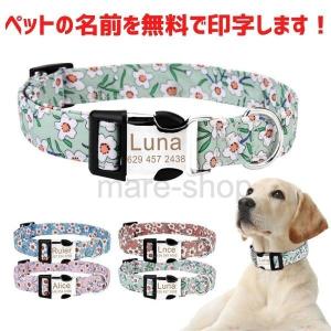 LOUIS VUITTON（ルイ・ヴィトン） ほぼ新品 モノグラム コリエ