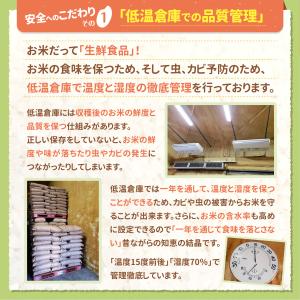 期間限定値下げ! お米 10kg (5kg×2...の詳細画像2