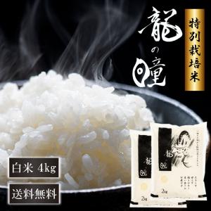 龍の瞳 4kg 米 白米 飛騨産 減農薬 令和3年産 送料無料  いのちの壱 内祝い お歳暮 ギフト 竜の瞳 令和3年産【認定特約店】｜ohnoshokuryou-shop