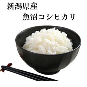 ヒノヒカリ 新米ヒノヒカリ令和7年産 奈良県産ヒノヒカリ 20kg 玄米