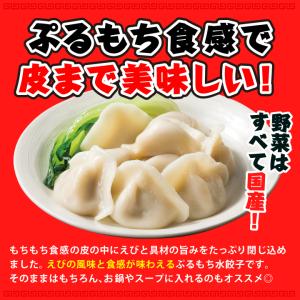 餃子 取り寄せ 大阪王将 ぷるもちえび水餃子1...の詳細画像1