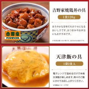 吉野家 牛丼 冷凍冷凍牛丼の具 吉野家×大阪王...の詳細画像4