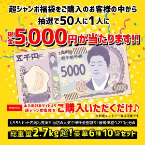 餃子 大阪王将 冷凍餃子 お取り寄せグルメ 大...の詳細画像5