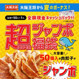 餃子 大阪王将 冷凍餃子 お取り寄せグルメ 大...の詳細画像1