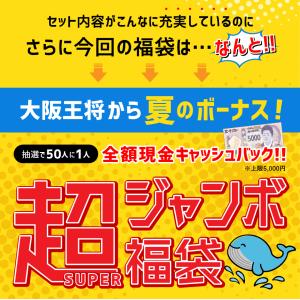 餃子 大阪王将 冷凍餃子 お取り寄せグルメ 大...の詳細画像4