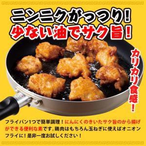 大阪王将 味わい5種セット【メール便】 全国送...の詳細画像4