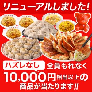 餃子 取り寄せ 大阪王将 MEGA中華ガチャ ...の詳細画像1