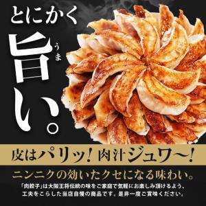 【複数購入でおまけ付き】 餃子 取り寄せ 大阪...の詳細画像2