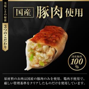 【複数購入でおまけ付き】 餃子 取り寄せ 大阪...の詳細画像4
