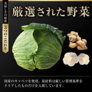 【複数購入でおまけ付き】 餃子 取り寄せ 大阪...の詳細画像5