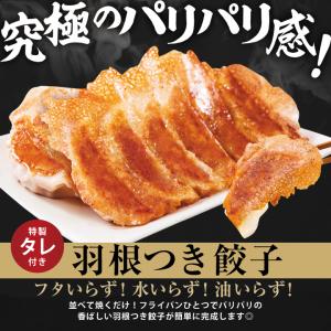 米 餃子 取り寄せ 大阪王将 鉄板中華セット(...の詳細画像2