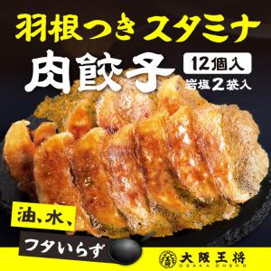 餃子 取り寄せ 大阪王将 羽根つきスタミナ肉餃...の詳細画像2