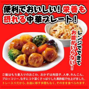 お取り寄せグルメ 大阪王将 楽ラク中華 中華お...の詳細画像1
