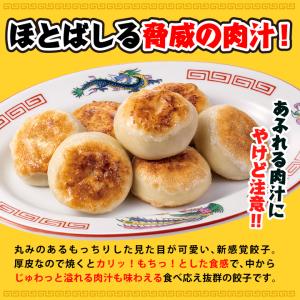 大阪王将 肉汁爆弾餃子10個入り お取り寄せグ...の詳細画像1