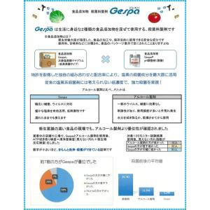 ジェスパ Gespa 高濃度殺菌料製剤 20L...の詳細画像1