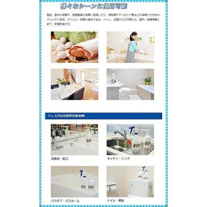 ジェスパ Gespa 高濃度殺菌料製剤 20L...の詳細画像2