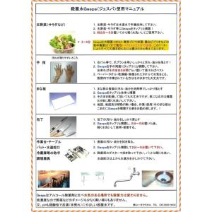 ジェスパ Gespa 高濃度殺菌料製剤 20L...の詳細画像4