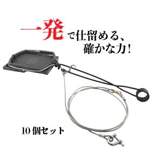 アラホール 4個セット アライグマ専用捕獲機 鉄製 (本体20cm 直径3cm