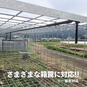 アラホール 4個セット アライグマ専用捕獲機 鉄製 (本体20cm 直径3cm