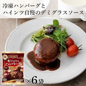 ハンバーグ ハインツ HEINZ 本デミグラスハンバーグ 160g 6個 デミグラスソース セット 家庭用