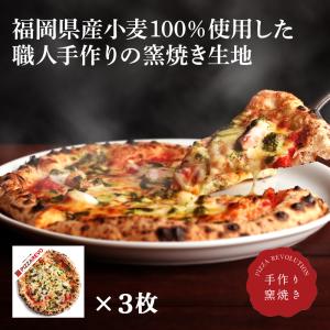 沖縄 琉球ピザ エンゾ トライアルセット 1 詰合せ 3種 ピザ 冷凍 マルゲリータ Pizzeria Da Enzo 産直お取り寄せニッポンセレクト 通販 Paypayモール