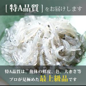 釜揚げしらす 大容量 500g 国産 駿河湾産...の詳細画像2